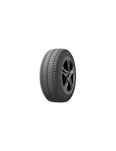 165/70 R13 79 T Arivo Carlorful A/s