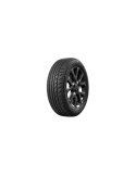 ITEGRO ROSAVA 205 55 16 91 V
