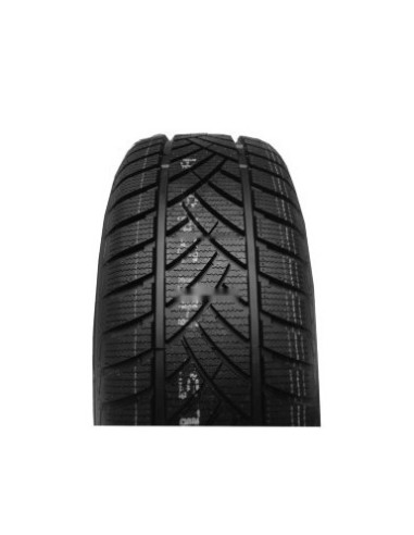 GREEN-Max Winter HP LINGLONG 165 65 14 79 T