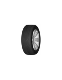 205/55 R17 TL 95V DASP+ XL M+S 3PMSF 